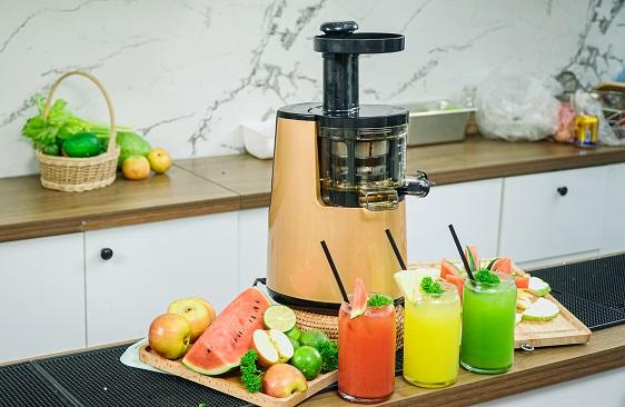 Máy ép chậm Promix SJ-06 Công suất 150W