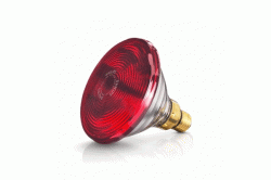Bóng đèn hồng ngoại trị liệu Philips công suất 150W