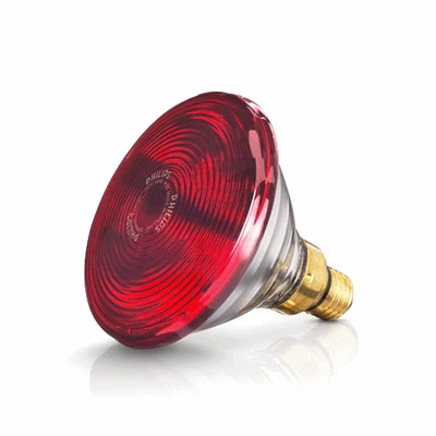 Bóng đèn hồng ngoại trị liệu Philips công suất 150W